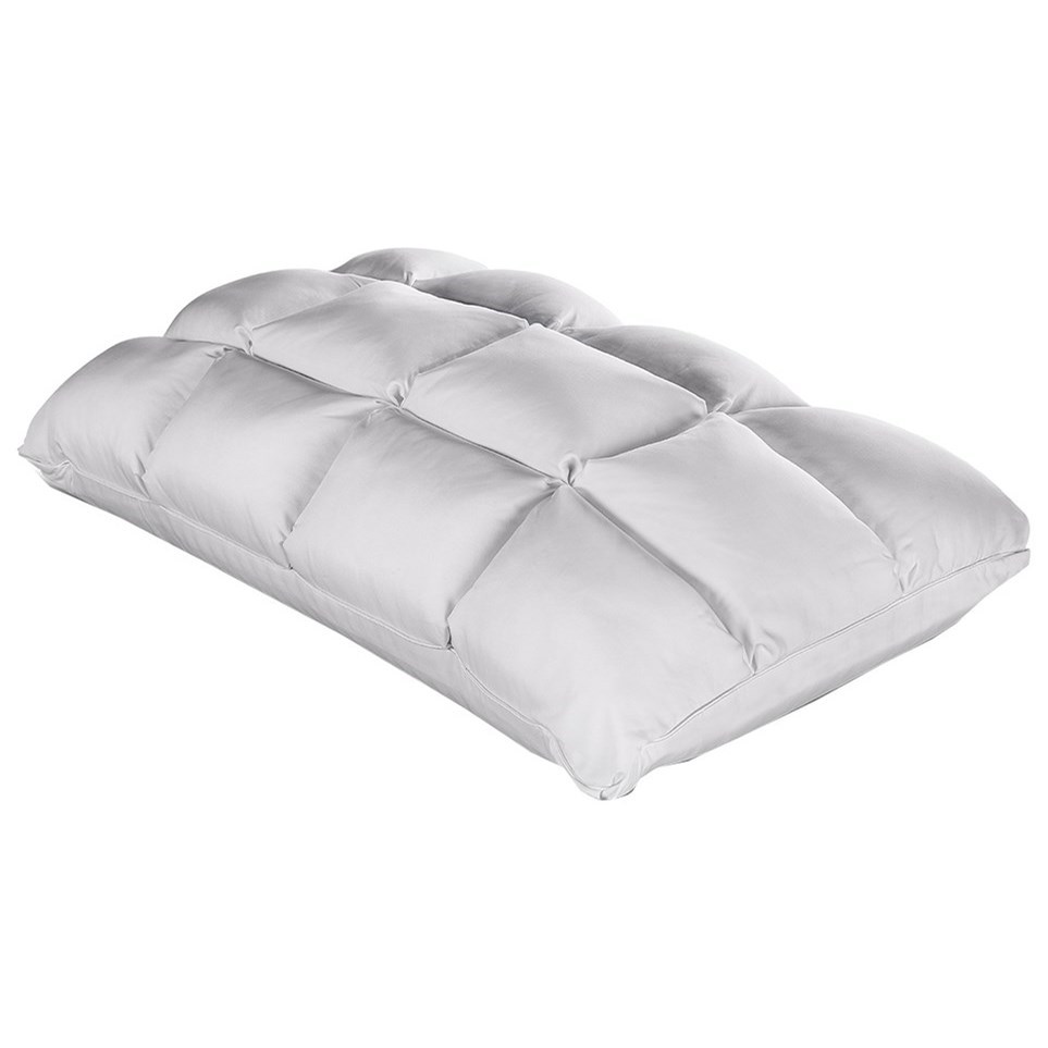 994903283 Queen SoftCell Chill Latex Pillow | Sadler's Home Furnishings |  Pillows